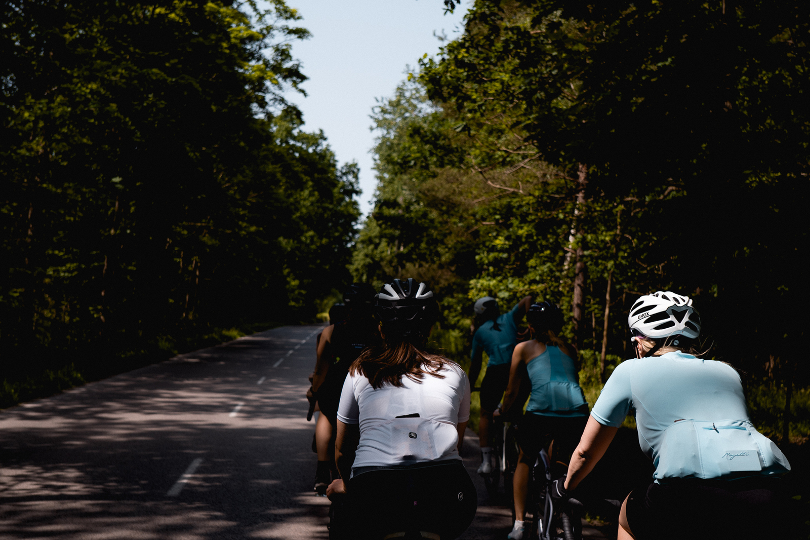 Grupa kolarek szosowych jedzie przyjemną leśną drogą